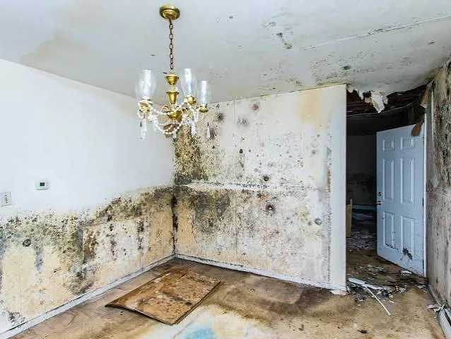Room with mold and water damage on the walls